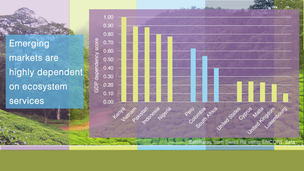 Emerging markets are highly dependent on ecosystem services