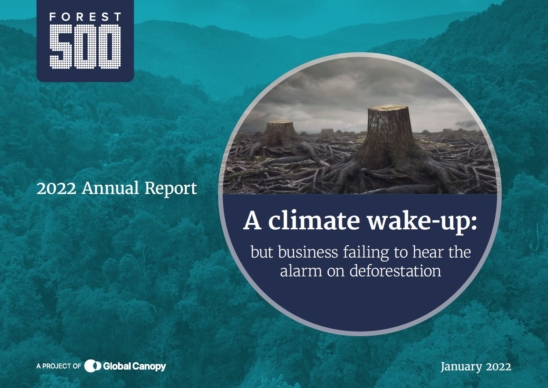annual report 2022 cover image